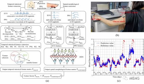 深圳先進院在基于生理信息的無創血糖監測技術方面取得新進展