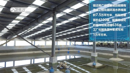 江蘇省淡水水產研究所 全力提升'江豐1號'良種覆蓋率